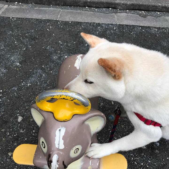 B800549c 66d2 4fdb 9cff 7b796ab95b21