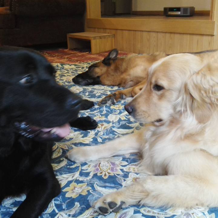 B8008e4c 6e8a 4773 ae89 7e82cfd1cec8