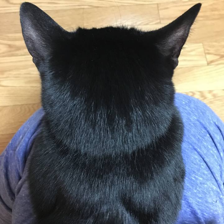 B800c4a1 a33d 44f7 8348 1d6cecabae3b