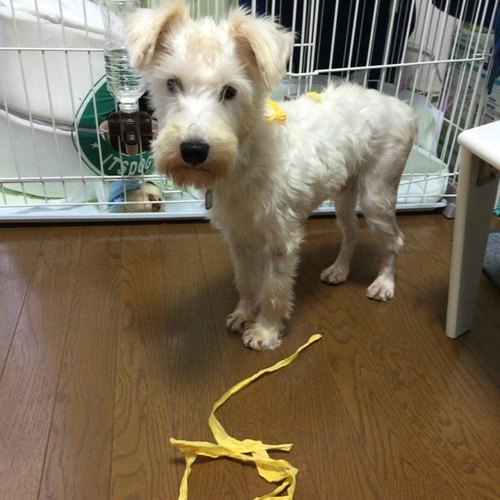 B800cd39 c93e 42b6 837e 32710c1ddd6f