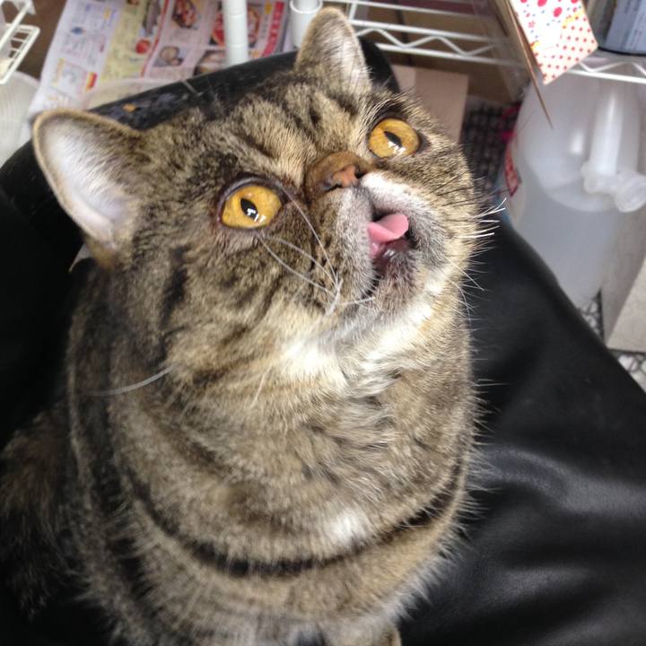 B8010e86 189b 4800 a71c 25339f174b8b