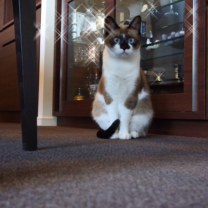 B8014bdc 14c3 4b77 91a0 1a19f7ae5c00