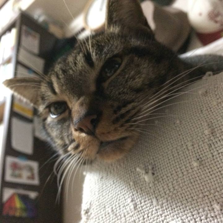 B8015d01 2a33 4ed4 80d3 6cd6f374400a