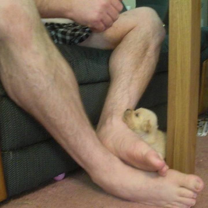 B801a5eb 17d2 4cee b2d8 69cf0ad358a4