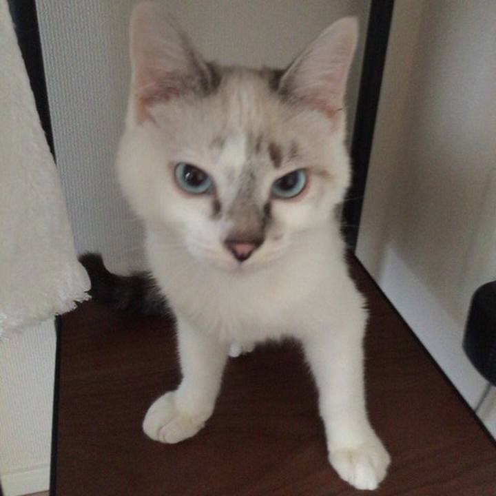 B801e49d c461 45c6 8c94 e767b051ba90