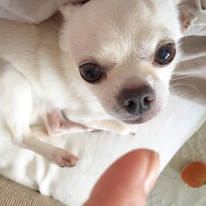 B8022ac5 c655 4684 b397 7c6e3368c1d3