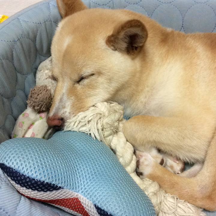 B8028adf 77a6 4c23 810e 7baafcd7ff18