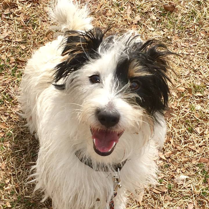 B802a119 ceb1 4615 b205 76fc4462e10c