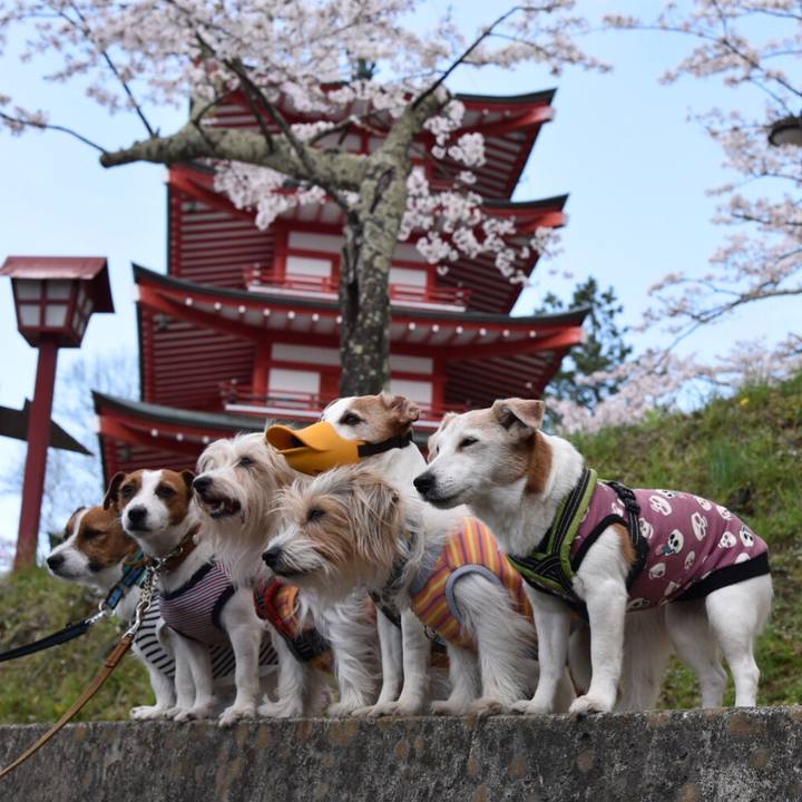 B802a7ab ca02 4f5e ad7d b30aef6d82a9