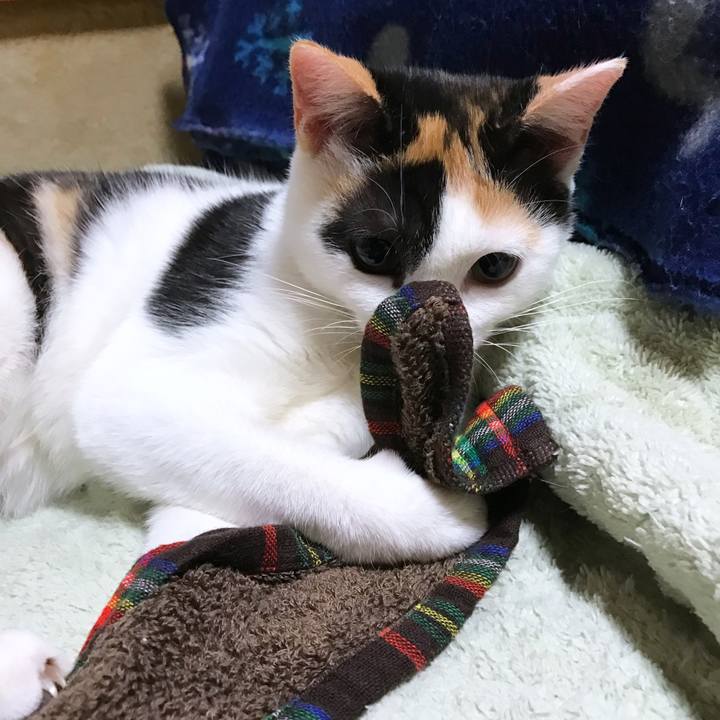 B8030457 2c65 4e76 88c6 3c3aa4783f5f