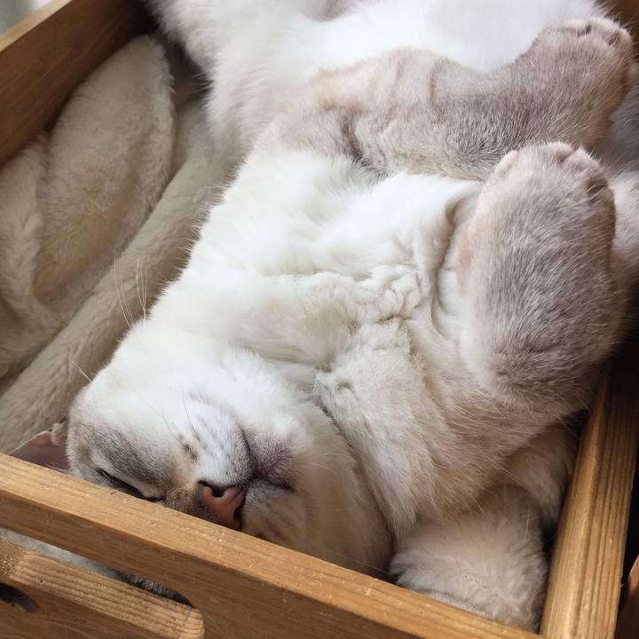 B8030e41 5258 4217 bf78 756d297d6458