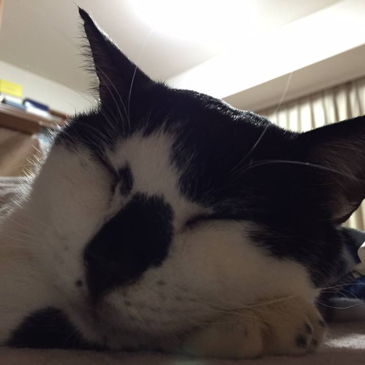 B803216e 1e8f 4988 81b7 b2d4303ffd82