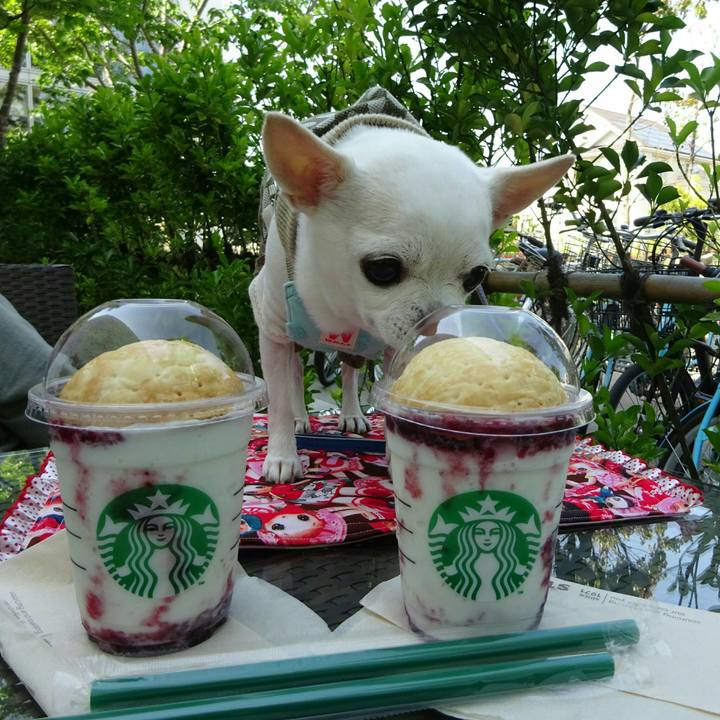 B80336a6 460f 485f b892 4eac953fbcdf