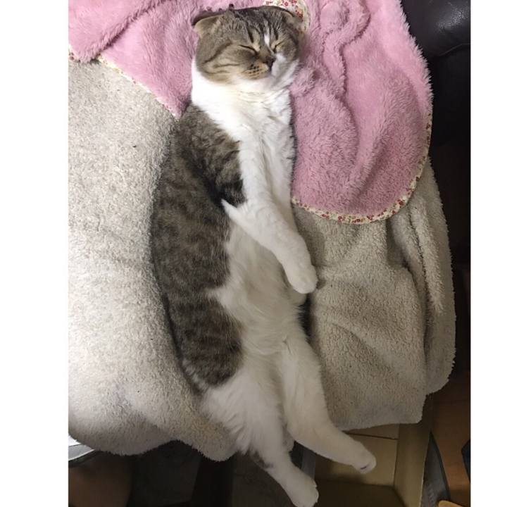 B803852b 25a5 43be 85ec 9d4ce26b5c6a