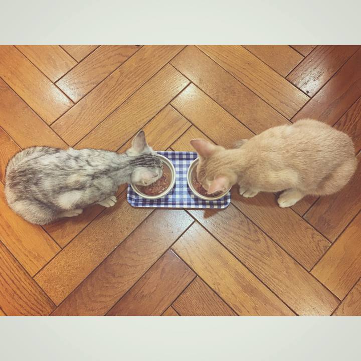 B8039e4b 1e36 4c01 a319 3c8c1e990bdd