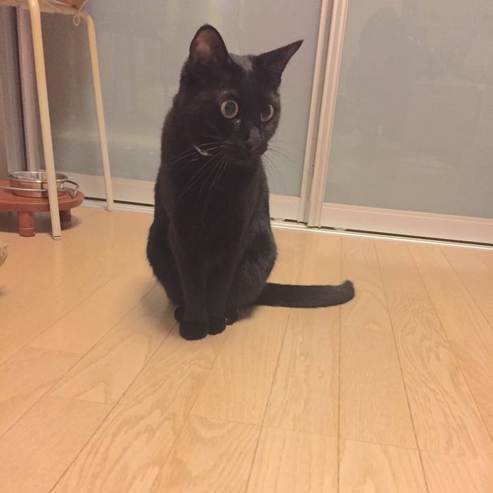 B8042f7b aa9b 4480 9364 c3efc2df2e51