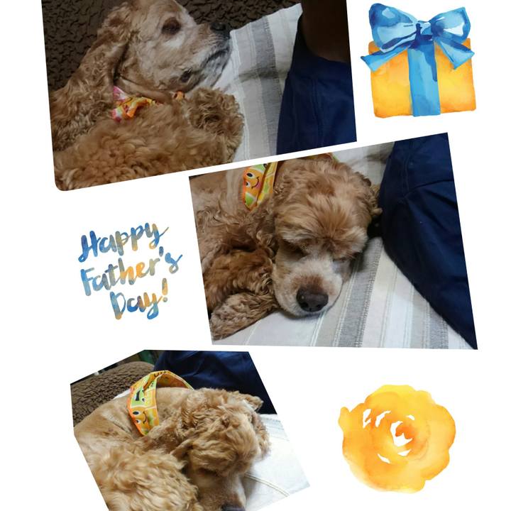 B8046844 199a 4599 9264 08a63c8ad0b8