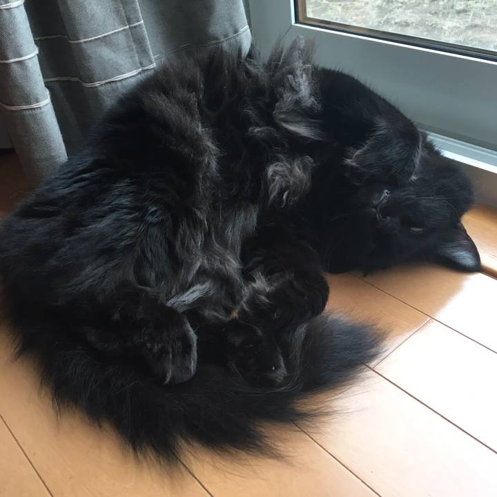 B8047581 2360 4c96 87f9 f11ffbdbcfc5