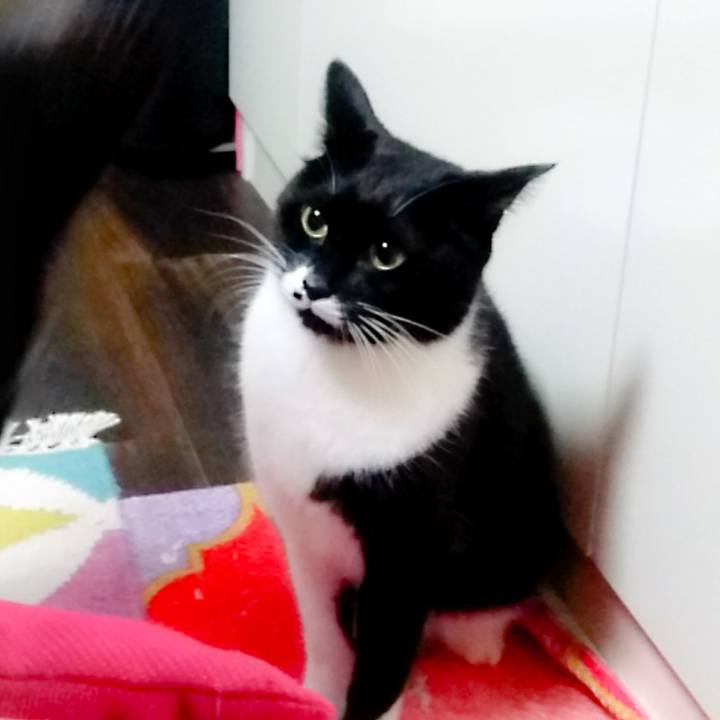 B80477b7 84f0 4589 86bc c46263c7572a