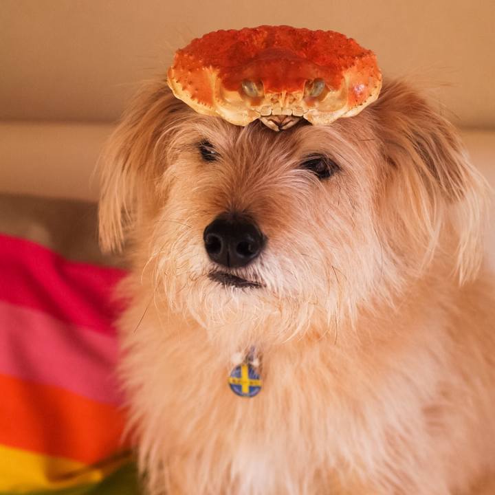 B804a5e4 9d05 478c bf23 25fe872b6d36