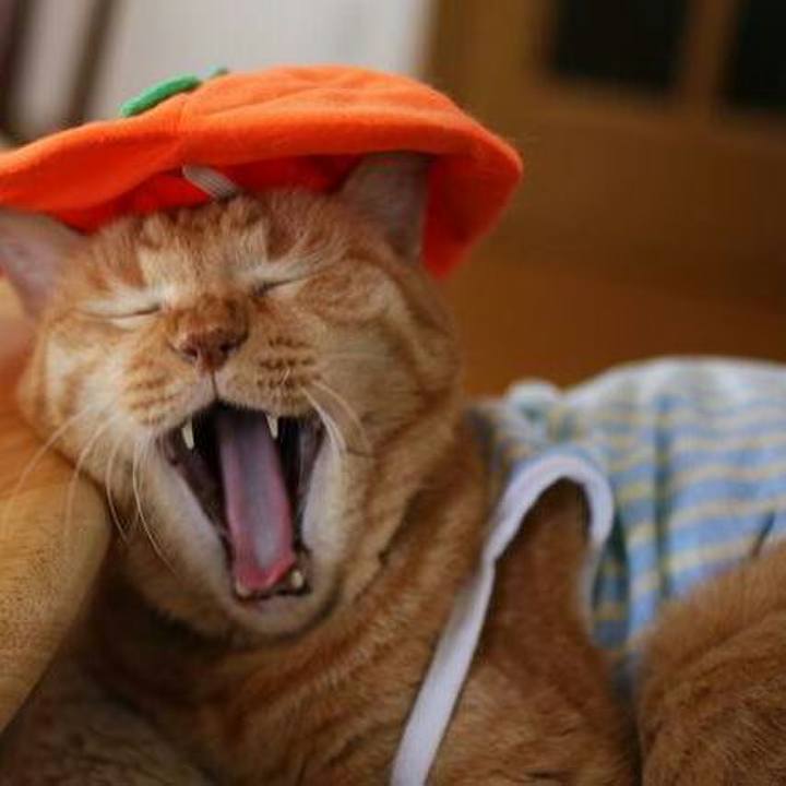 B804d0c2 ab43 4cbd 8c16 f17603054c5d