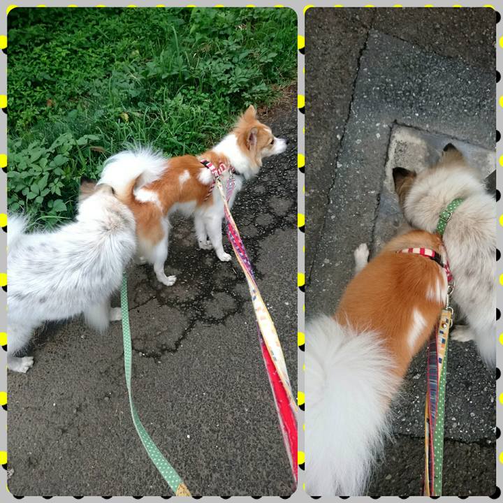 B804fd30 1866 4a76 80bd c4ea84d3cf1b