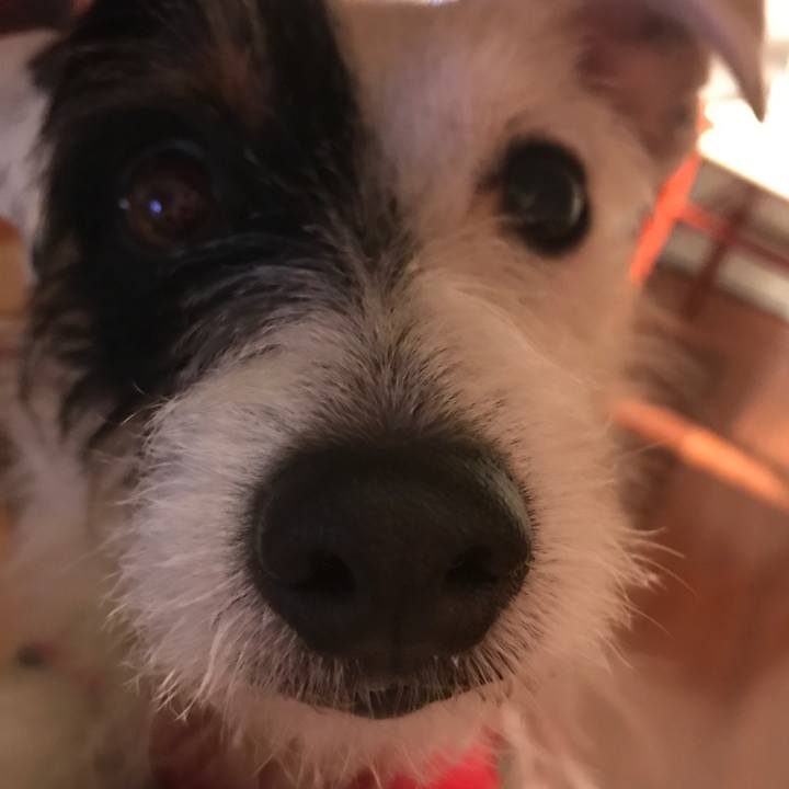 B8053c98 8309 43be b946 c5090ff70d66