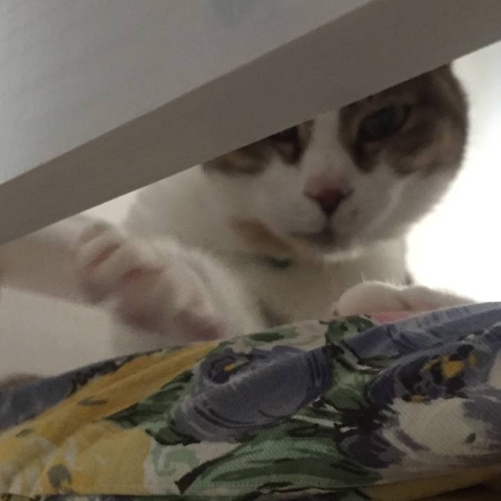 B8054d47 65ff 435c 9eb3 9e6a28829a3d