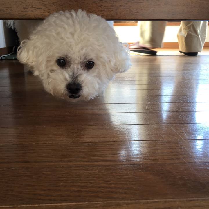 B805681a 67c0 424f ab4b abad7b6d24da