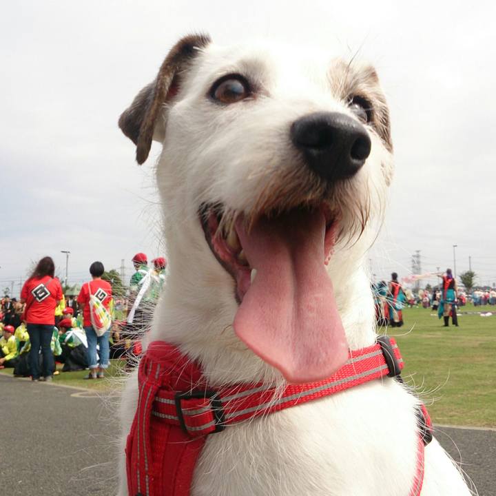 B80569d8 8d11 4732 b1b6 d93fe3b35e8c