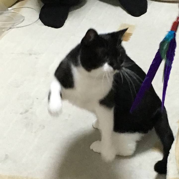 B806b3de 01ed 4fce afc7 0e3114c4c2f8