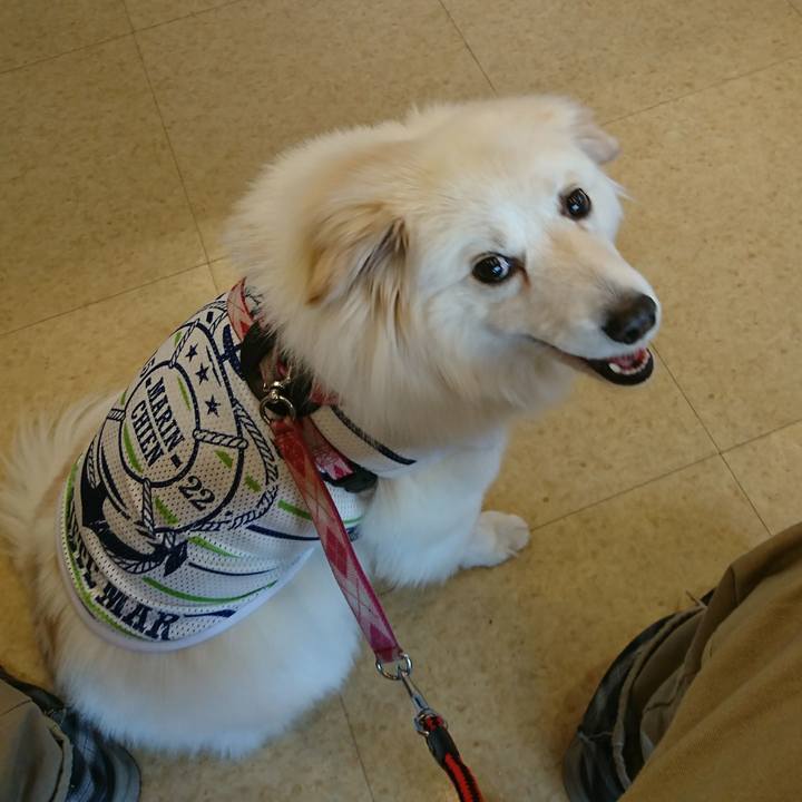 B806b6a2 2f4b 470a 86ef ae93c5c03d9a