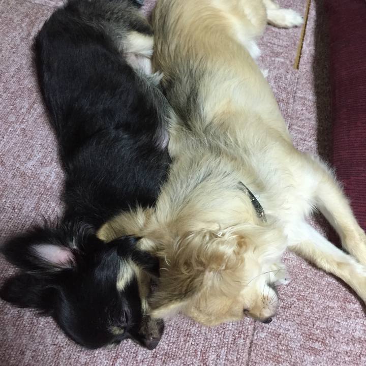 B8071366 e836 4788 ae3c 3f1d44b6dd25