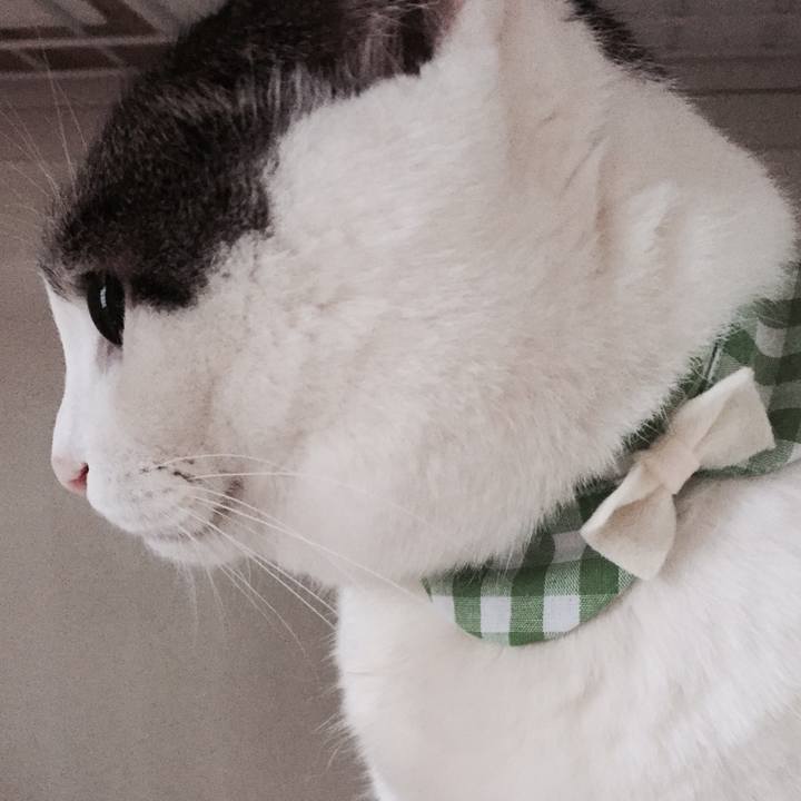 B8076e8a ddb3 4f53 ac25 44a4be88ee77