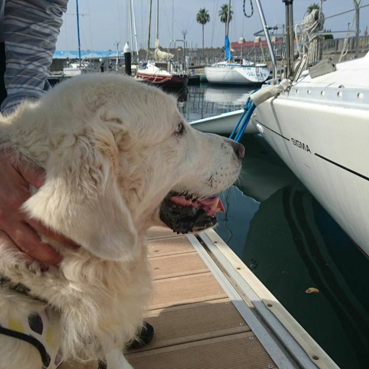 B807a2aa e76d 4330 8d71 2187bf4c8ef3