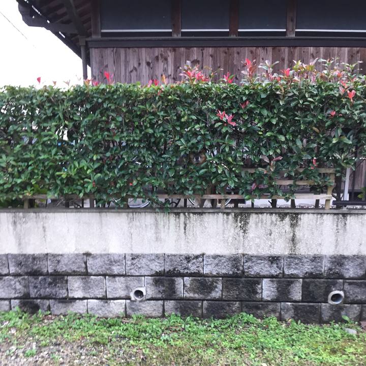 B807ad16 b439 467f 8bac acb5104354fe