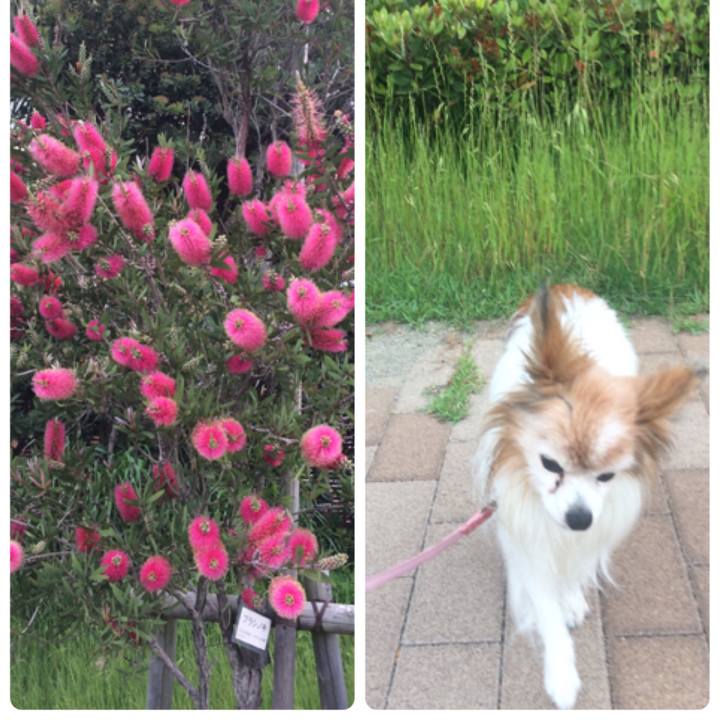 B807e8f3 0d5d 47c8 be5c 245909842a20