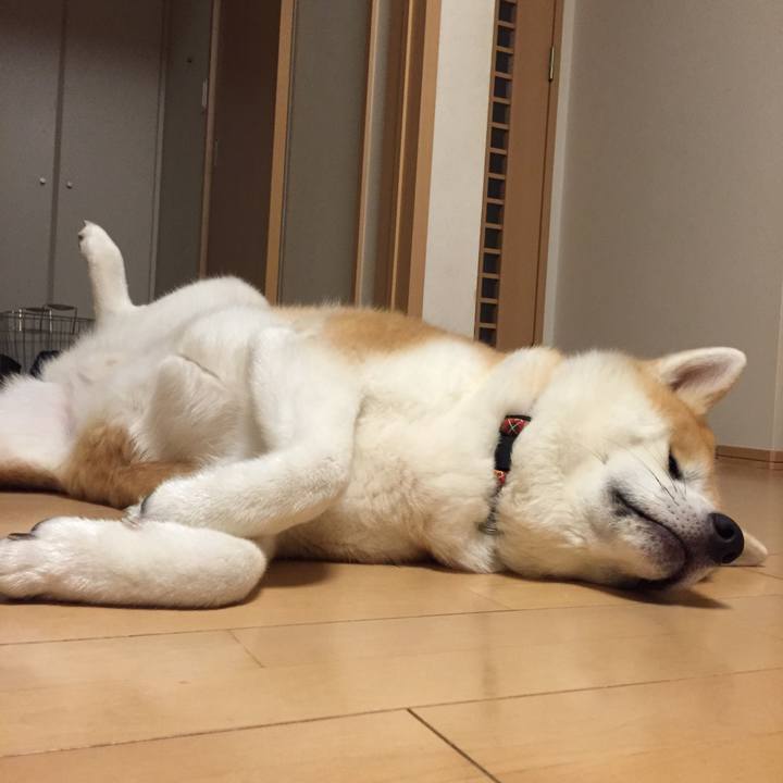 B8083344 29be 4f95 9116 c531dca019da