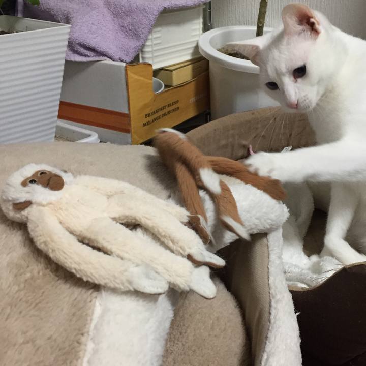 B808ba4a fb5d 4819 bed9 5a1a2bcd98b3