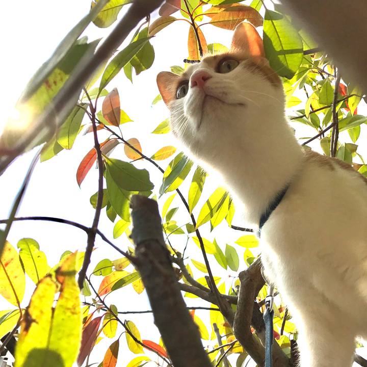 B808fb12 768f 46ff b58f 0d89655b9228