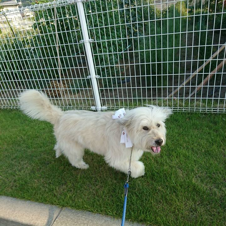 B80a1311 1f91 4879 96ea 865a5e8dd06a