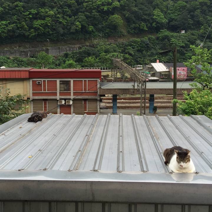 B80a8699 b5ca 44b6 b57e 659d3298a2f3