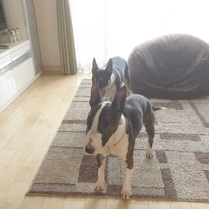 B80ab256 92be 4702 950f 16881be94ffe