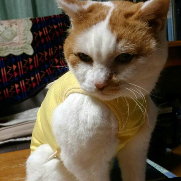 B80ad37f befc 4a54 921f 0d2f28ed19a3