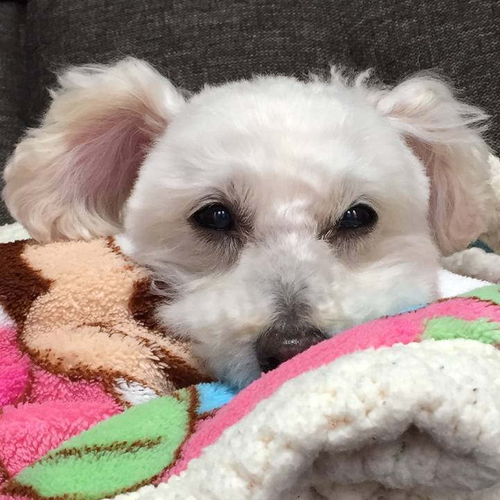 B80b3c19 3472 43a5 97c4 9c575fa62f61