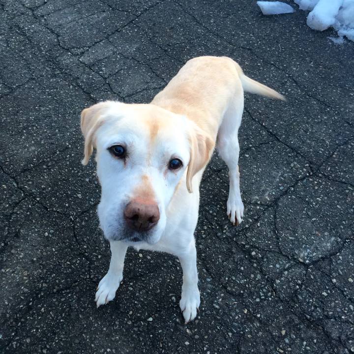 B80bacaf b1f4 4366 975e 3befb4c8bca4