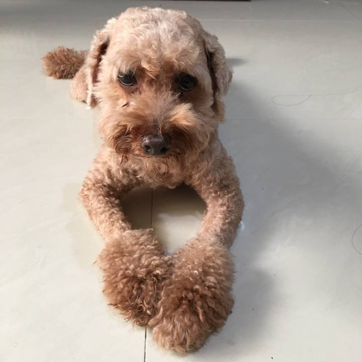 B80c00a6 5372 4ee3 8fbf b0d8aaefa47e