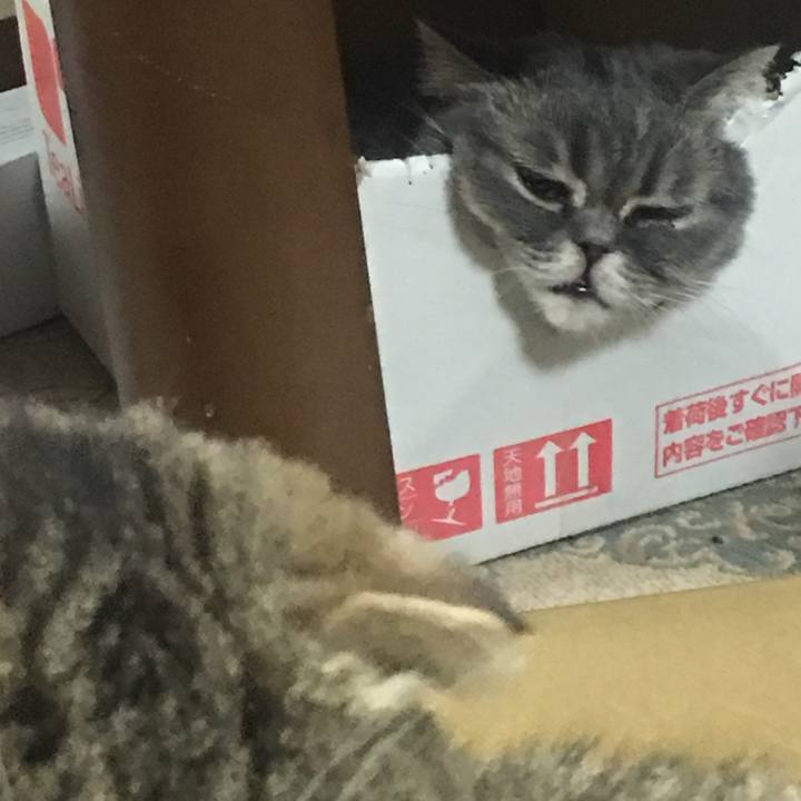 B80c772b d7a0 4e5f ab3f f9fdc8141b8f