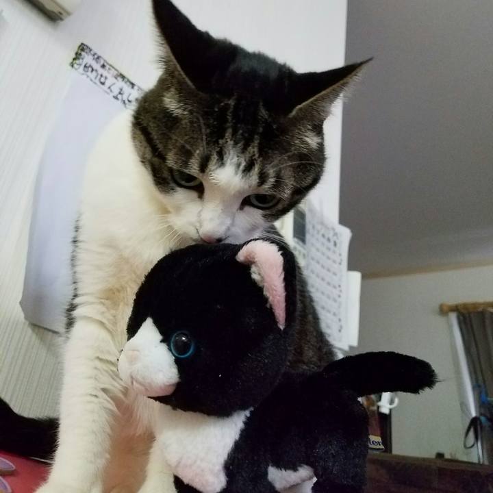 B80cb67d 26c4 4271 8ba8 3c325c8a91f9