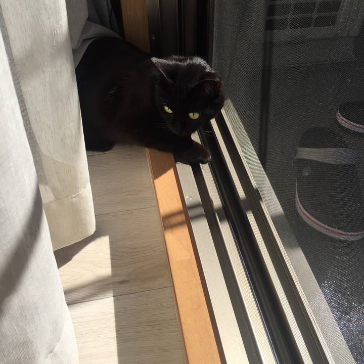 B80db2df d031 4d51 9a67 51ba09274c63